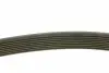 0500081226 Ремень генератора Mazda 3/5/6 2.0 DI/CD 02-10 (8PK1226) MEYLE підбір по vin на Brocar
