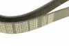 0500081226 Ремень генератора Mazda 3/5/6 2.0 DI/CD 02-10 (8PK1226) MEYLE підбір по vin на Brocar