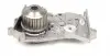 PA724A Помпа воды Renault Kangoo/Laguna/Megane/Scenic 1.4/1.6 97-08/Logan 14- (20z)(B/B)(8лоп) GRAF підбір по vin на Brocar