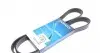 Ремінь генератора Ford Tourneo Custom 2.0 EcoBlue 15- 6pk1410S