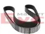 0500061045 Ремень генератора VW Caddy II 1.9D/TDI/SDI/T4 1.9D/TD (6PK1045) MEYLE підбір по vin на Brocar