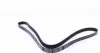 0500061570 Ремень генератора Audi A4 1.6-2.0 00-08 (6PK1570) MEYLE підбір по vin на Brocar