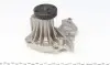 PA612 Помпа води Ford Fiesta IV/V/Focus/Fusion 1.25/1.4/1.6 95-/Mazda 2 03-05/Volvo 05-07 (R/B) (6 лоп) GRAF підбір по vin на Brocar