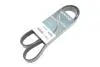 7PK1236HD PASEK WIELOROWKOWY 7PK1236 DAYCO підбір по vin на Brocar