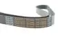 7PK1236HD PASEK WIELOROWKOWY 7PK1236 DAYCO підбір по vin на Brocar
