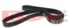 Ремінь генератора Citroen Berlingo/Fiat Scudo 1.9D (1868) (6PK1438) 050 006 1438