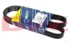 Ремінь генератора Peugeot Boxer 2.0 94-/VW Caddy 1.4 04- (6PK1100) 050 006 1100