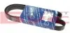 Ремень генератора Renault Master/Opel Movano 2.2/2.5DCI 01- (7PK1145) 050 007 1145