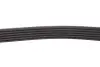 0500061980 Ремень генератора MB OM601/602 (+PS) (6PK1980) MEYLE підбір по vin на Brocar