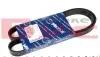 Ремінь генератора Peugeot Partner 1.6 (6PK1205) 050 006 1205