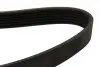 6PK1033 Ремень поликлиновой Dayco DAYCO підбір по vin на Brocar