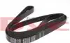 0500061725 Ремень генератора Opel Vectra/Omega (6PK1725) MEYLE підбір по vin на Brocar