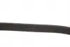0500061870 Ремінь генератора VW T4 2.0 91- (6PK1870) MEYLE підбір по vin на Brocar