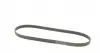 7PK1290 Ремень генератора Ford Galaxy 2.8i V6/VW Golf III/Passat/Sharan 2.8 VR6 95-00 CONTITECH підбір по vin на Brocar