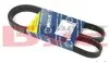 Ремінь генератора Opel Movano 2.8DTI 98-01/Renault Kangoo 1.5dCi/Master 2.5D/2.8DTI 98-01 (5PK1200) 050 005 1200