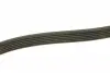 0500062255 Ремінь генератора MB Sprinter CDI (-AC) (з обводним роликом) (6PK2255) MEYLE підбір по vin на Brocar