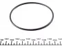 PA325 Помпа води Opel Astra F/Kadett E/Omega A/Vectra A/Ascona C 1.6/1.8/2.0 84-98 (21z) (B/B) (8 лоп) GRAF підбір по vin на Brocar