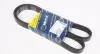 Ремінь генератора VW Golf/VW Bora 2.3 -00 (-AC) (6PK1290) 050 006 1290