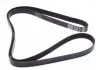 8PK2465 Ремень генератора MB S-class (W140) 91-98 DAYCO підбір по vin на Brocar