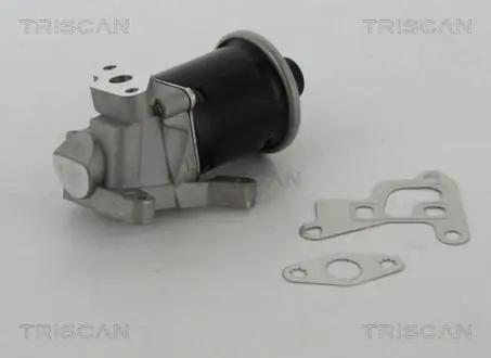881329100 Клапан повернення ВГ TRISCAN підбір по vin на Brocar