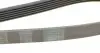 6PK1448 Ремень генератора Ford Fiesta/Ka 1.3i 95-08 CONTITECH підбір по vin на Brocar