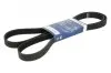 Ремінь генератора Ford Connect 1.8 TDCI 02-13 (6PK1720) 1 987 946 295
