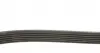 6PK2870 Ремінь генератора Jeep Cherokee/Liberty 2.5/2.8 CRD 01- DAYCO підбір по vin на Brocar