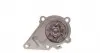 ADG09134 Помпа воды Hyundai Accent III/Kia Cerato/Rio II 1.4/1.6 95- BLUE PRINT підбір по vin на Brocar