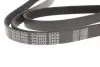 0500062000 Ремінь генератора VW Crafter 2.5TDI (-AC) /MB OM601/602 (+PS) (6PK2000) MEYLE підбір по vin на Brocar