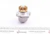 PA886 Помпа води Citroen C5/C6/C8/Peugeot 406/407/607/Renault Clio/Laguna 3.0 V6 01- (28z) (R/B) (8 лоп.) GRAF підбір по vin на Brocar