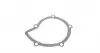 5132200002 Помпа воды Citroen C4-C8/Jumpy 2.0-2.2HDi/Fiat Scudo 2.0D/Ford Focus 2.0TDCI 01- (19z) MEYLE підбір по vin на Brocar