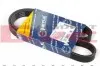 Ремень генератора Fiat Ducato 1.9D/TD 94-02 (5PK925) 050 005 0925