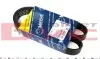 Ремень генератора Fiat Ducato 2.5D/TDI 94-02 (6PK900) 050 006 0900