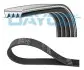 4PK588 Ремень поликлиновый DAYCO підбір по vin на Brocar