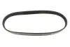 0500060725 Ремінь генератора Citroen Berlingo/Jumper/Jumpy/Fiat Ducato/Scudo/Peugeot Boxer/Expert (6PK725) MEYLE підбір по vin на Brocar