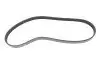 Ремінь генератора Citroen Berlingo 1.1/1.6 96- (5PK884) 050 005 0884