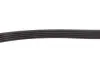 0500050884 Ремінь генератора Citroen Berlingo 1.1/1.6 96- (5PK884) MEYLE підбір по vin на Brocar