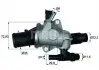 TI15288 Термостат, охлаждающая жидкость MAHLE / KNECHT підбір по vin на Brocar