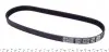 5PK736 Ремень генератора Land Rover Freelander 1.8 16V 00-06 DAYCO підбір по vin на Brocar