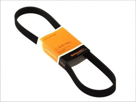 6PK815 Доріжковий пас CONTITECH підбір по vin на Brocar