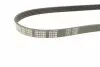 0500050980 Ремінь генератора BMW 5 (E39)/7 (E32) 92-03 M60/S62 (5PK980) MEYLE підбір по vin на Brocar