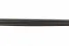 0500050980 Ремінь генератора BMW 5 (E39)/7 (E32) 92-03 M60/S62 (5PK980) MEYLE підбір по vin на Brocar