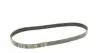 0500060875 Ремень генератора Citroen Jumper/Peugeot Boxer 2.0/2.2HDi 04- (-AC)/Opel Movano 2.5D MEYLE підбір по vin на Brocar