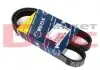 Ремень генератора Citroen Jumper/Fiat Ducato 2.8HDi/JTD 00- (ALT,WP) (6PK995) 050 006 0995