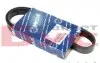Ремінь генератора Peugeot Partner 10-/Citroen Berlingo 05- 1.6 HDI (6PK976) 050 006 0976