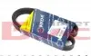 Ремень генератора Peugeot Partner 1.1/1.4 96- (5PK890) 050 005 0890
