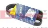 Ремінь генератора Citroen Jumpy 1.6i 95-/Fiat Scudo 1.6 96-06/Audi 80/A6 1.9TDI (6PK890) 050 006 0890