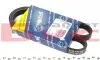 Ремень генератора Fiat Doblo 1.6i 01- (4PK875) 050 004 0875