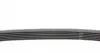 6PK836 Ремінь генератора Renault Master 2.8dTi 97-01/VW Crafter 2.0TDI 11-16/Ford Escort 1.4/1.8D 86-90 CONTITECH підбір по vin на Brocar