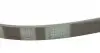 5PK985 Ремінь генератора Audi A6/A7/A8 S6/S7/S8/4.0TFSI quattro 12-18/Opel Astra F 1.4/1.6i/si 91-98 CONTITECH підбір по vin на Brocar